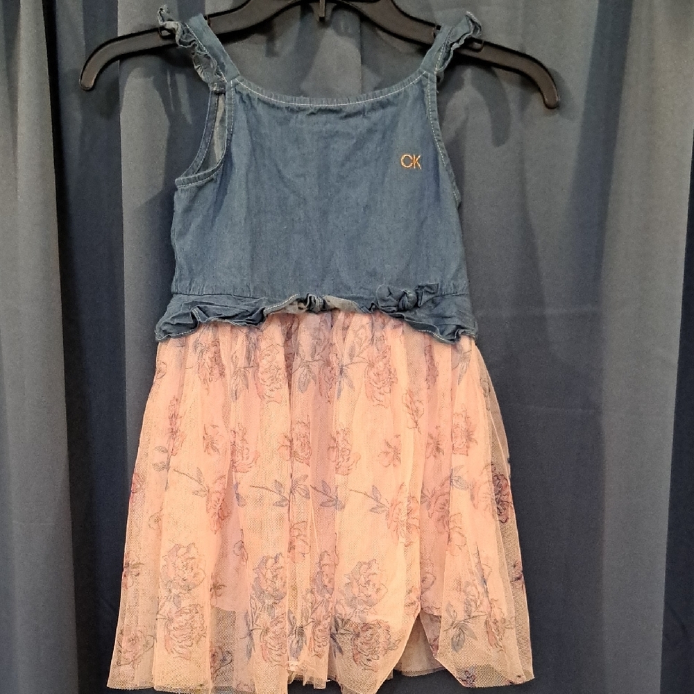 Calvin Klein Jeans Blue and Pink Kids Dress